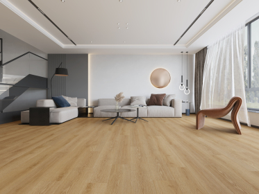 Room Scene